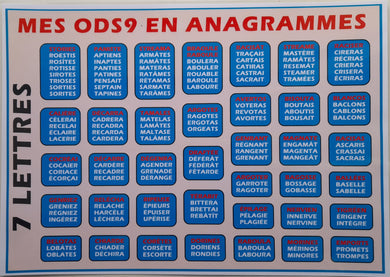 Set de table A3 Mes ODS9 en anagrammes